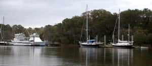 Hobcaw Creek, Mount Pleasant, South Carolina